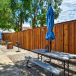 _DSC8350-Edit (1)