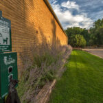 _DSC8807-Edit